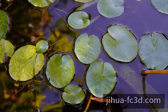 福彩3D计划拼版台视觉横幅
